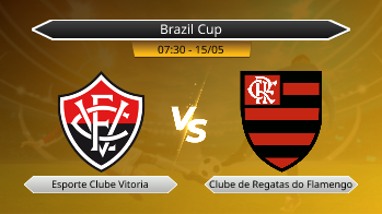 Brazil Cup Esporte Clube Vitoria VS Clube de Regatas do Flamengo