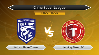 China Super League Wuhan Three Towns VS Liaoning Tieren FC